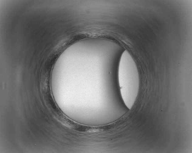 X0000082150499200701191027
