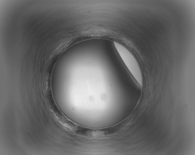 X0000082150501200701191027