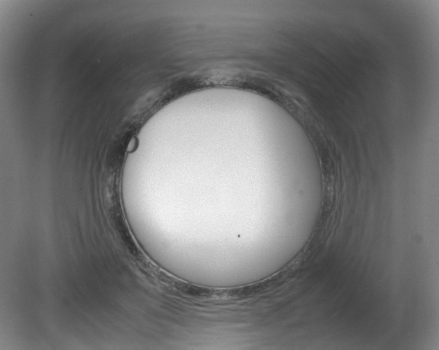 X0000082150503200701191027