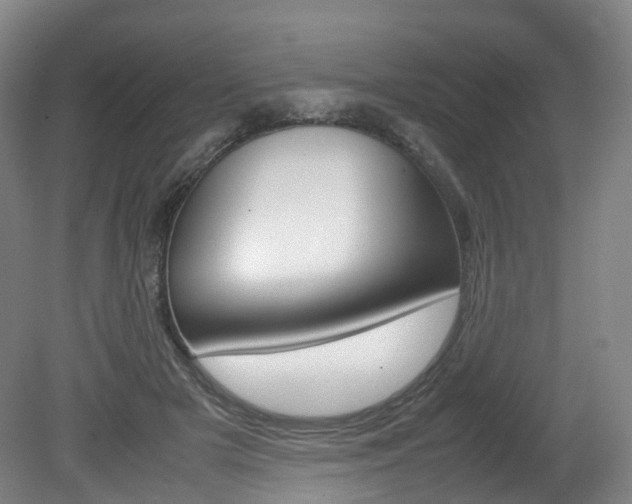 X0000082150505200701191027
