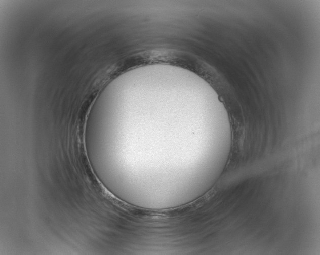 X0000082150506200701191027