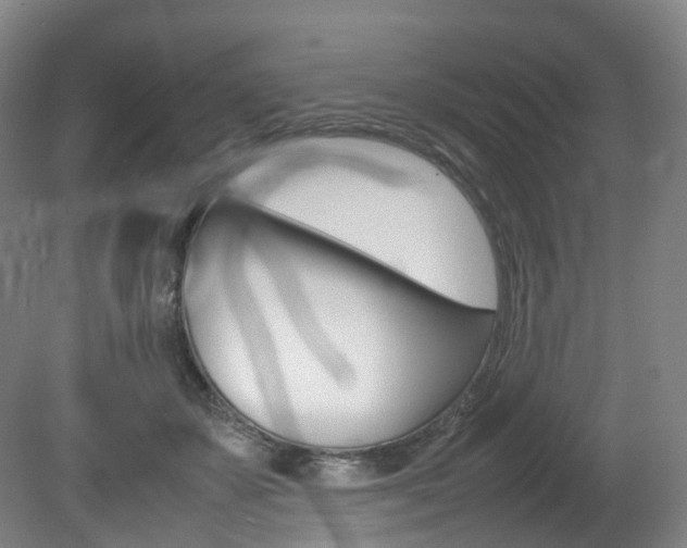 X0000082150507200701191027