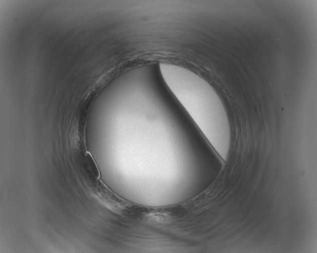 X0000082150508200701191027