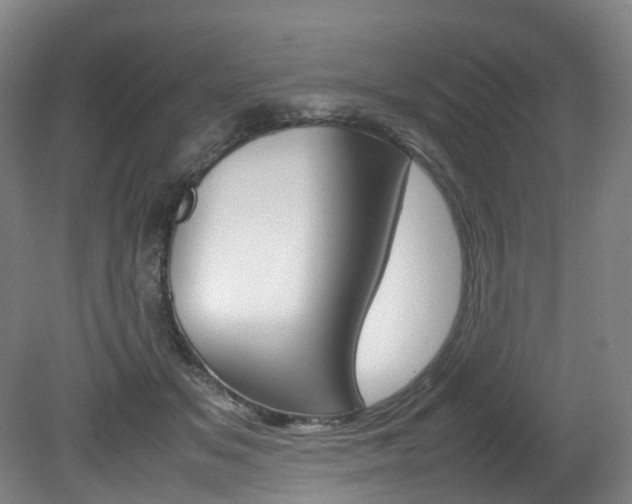 X0000082150509200701191027