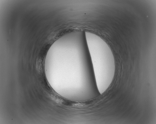 X0000082150511200701191027