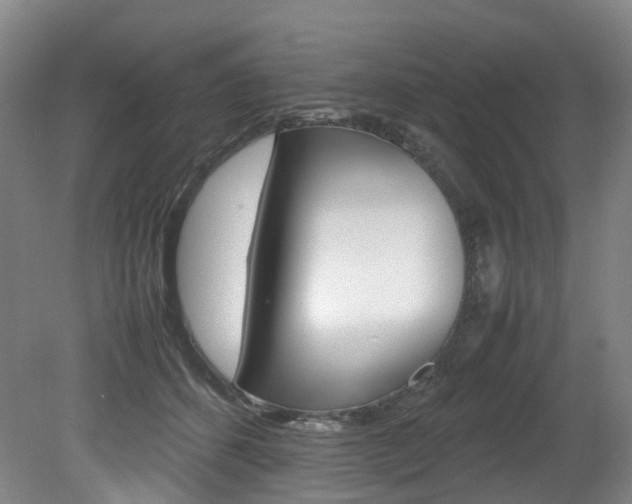 X0000082150512200701191027