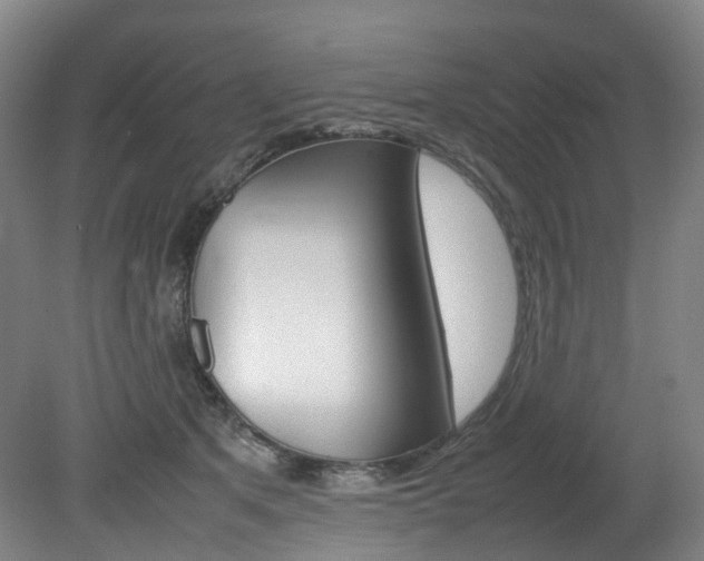 X0000082150513200701191027