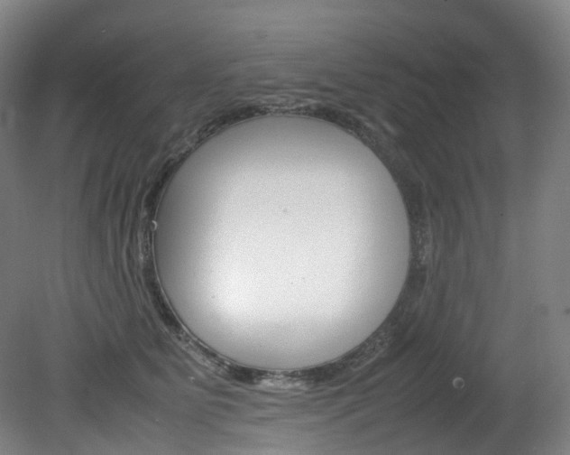 X0000082150515200701191027