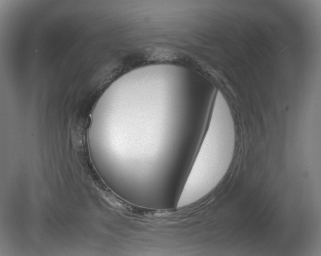 X0000082150517200701191027