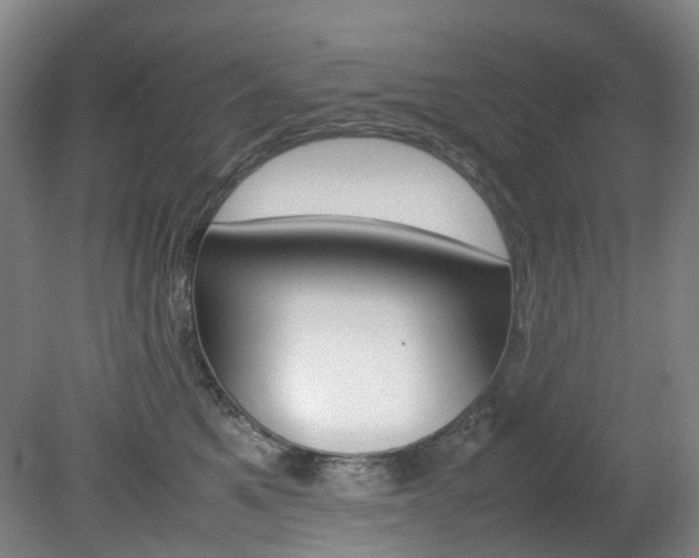 X0000082150521200701191027