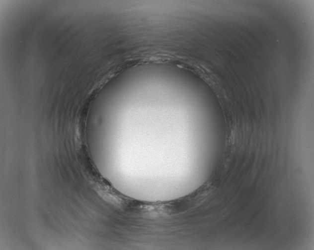 X0000082150524200701191027