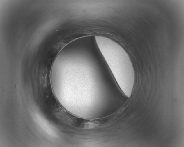 X0000082150525200701191027