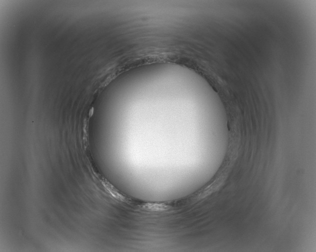 X0000082150528200701191027