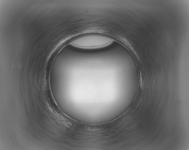 X0000082150531200701191026