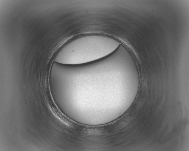 X0000082150533200701191026