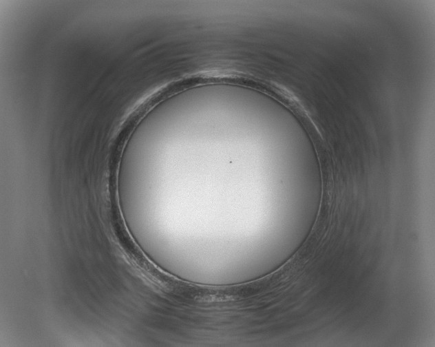 X0000082150535200701191026