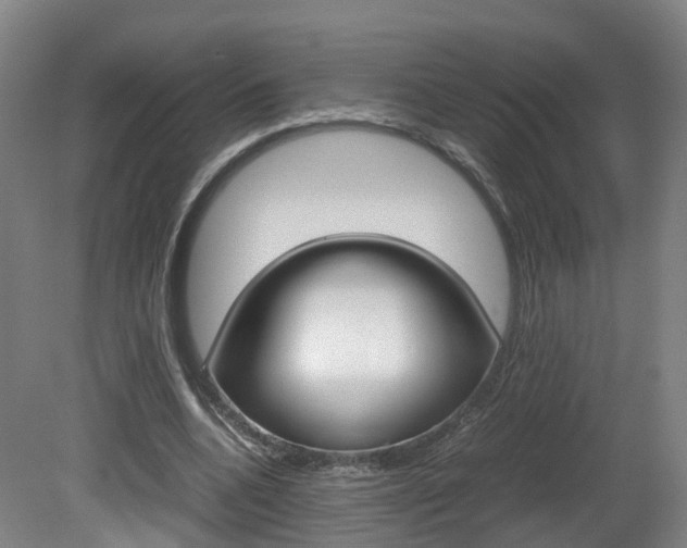 X0000082150536200701191026