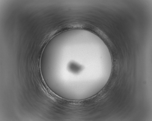 X0000082150537200701191026