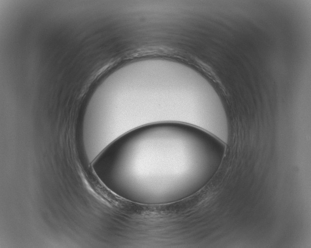X0000082150538200701191026