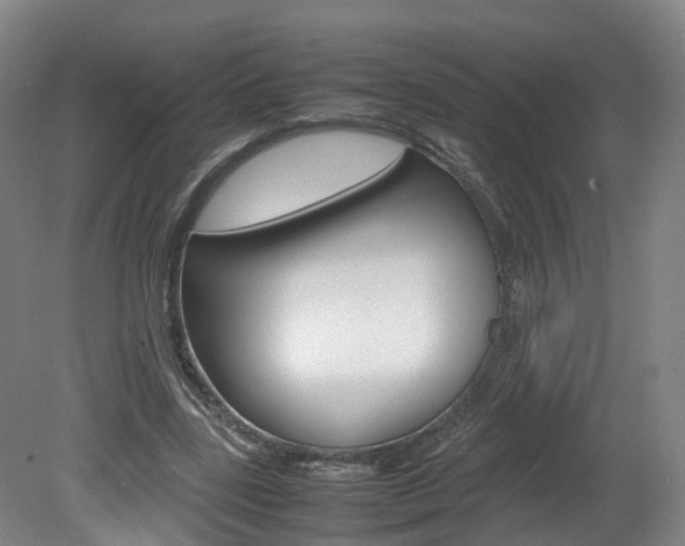 X0000082150539200701191026