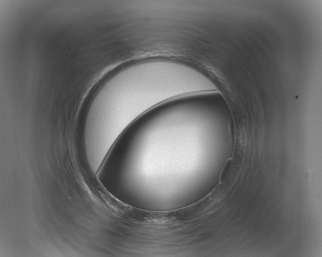X0000082150540200701191026