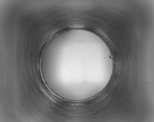 X0000082150541200701191026