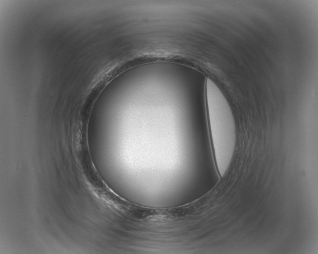 X0000082150544200701191026