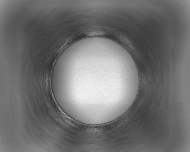 X0000082150549200701191026