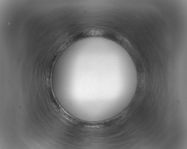 X0000082150553200701191026