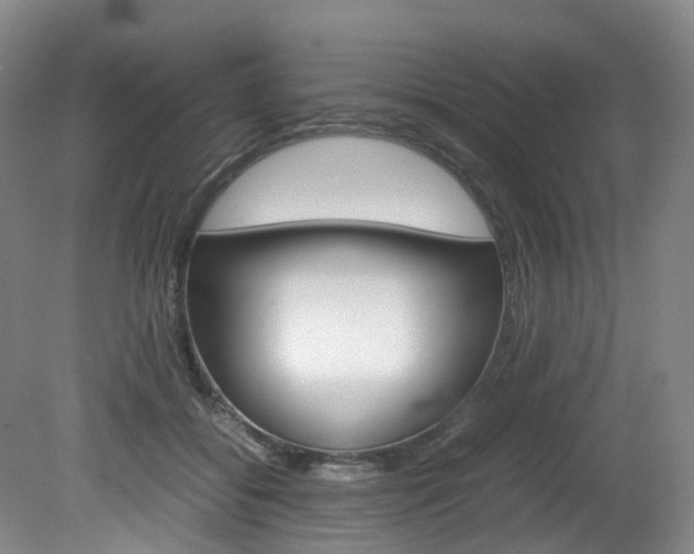 X0000082150556200701191026