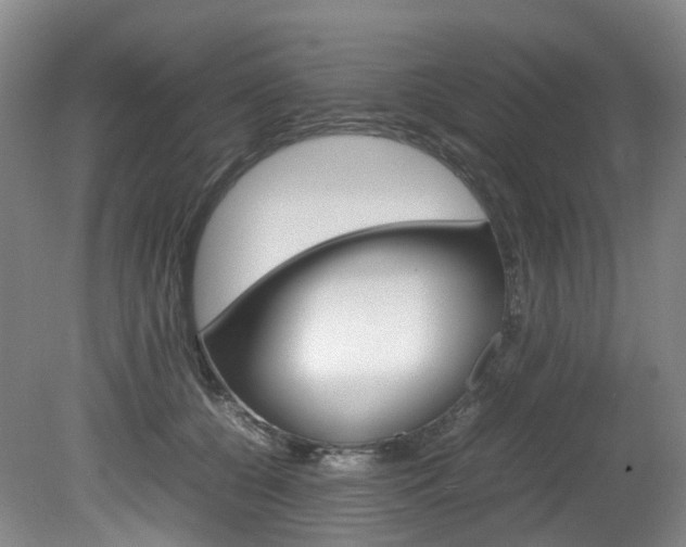 X0000082150560200701191026