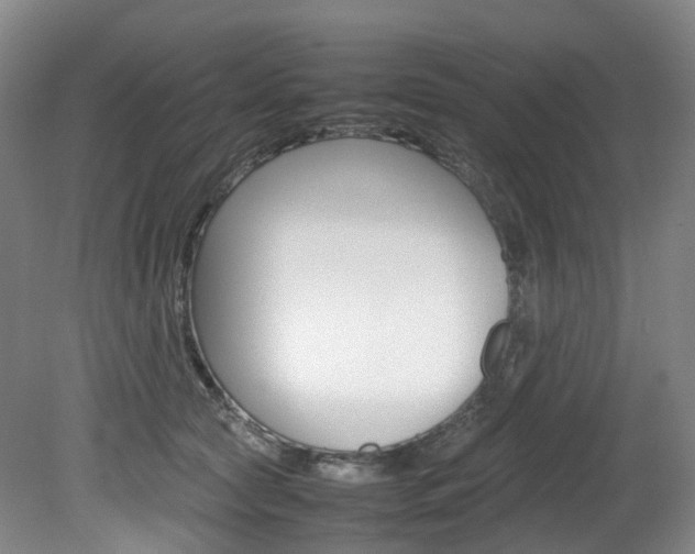 X0000082150561200701191026