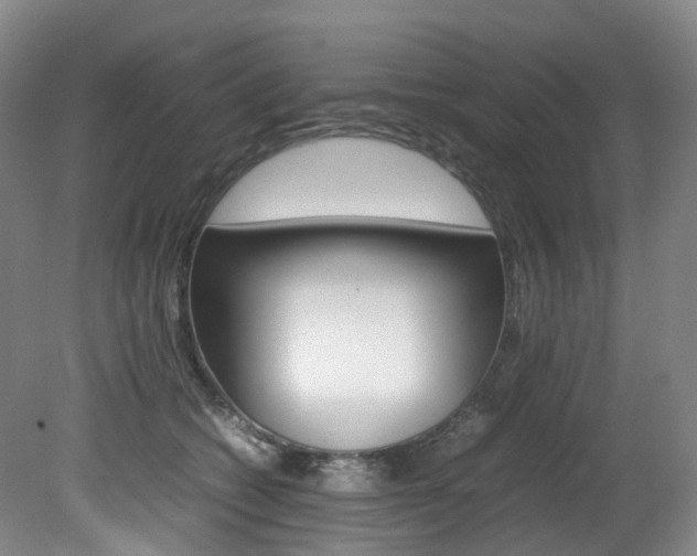 X0000082150562200701191026