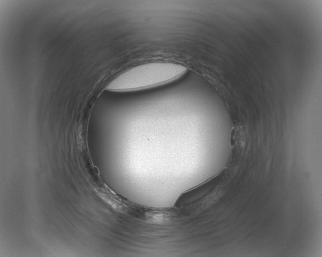 X0000082150564200701191026