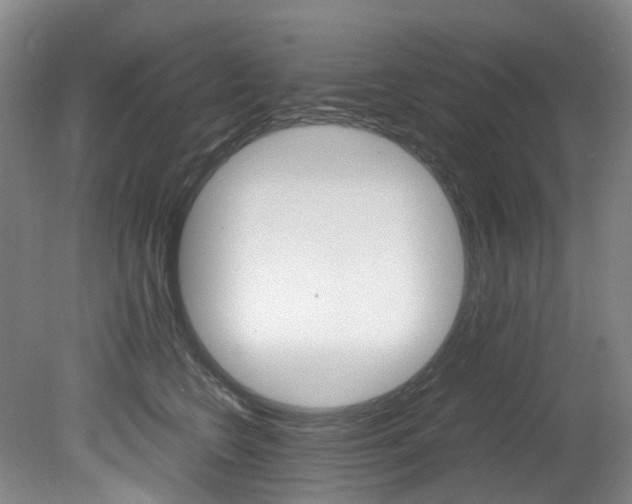 X0000082150566200701191026