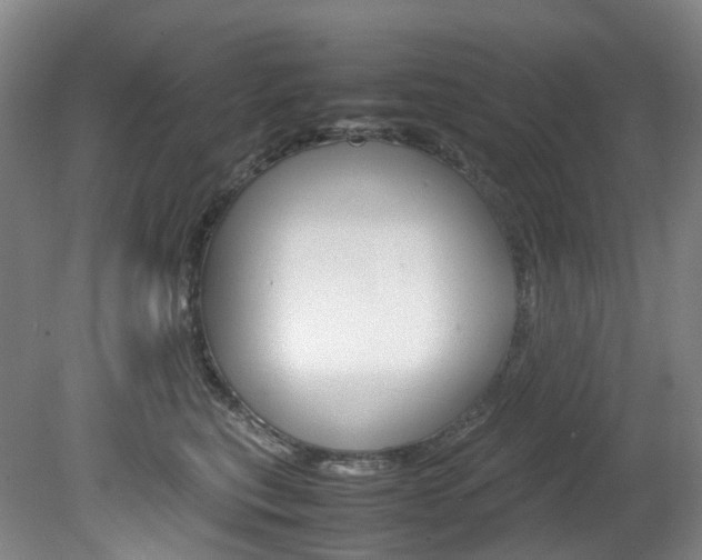 X0000082150567200701191026