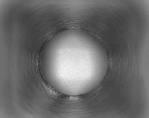 X0000082150570200701191027