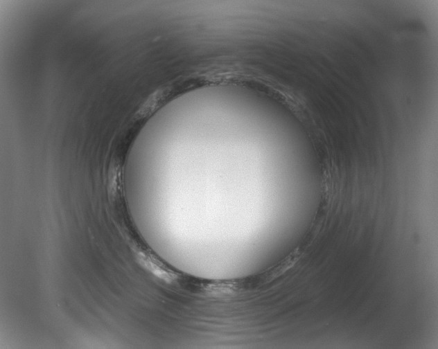 X0000082150574200701191027