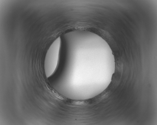 X0000082150575200701191027