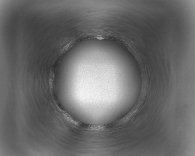X0000082150576200701191027