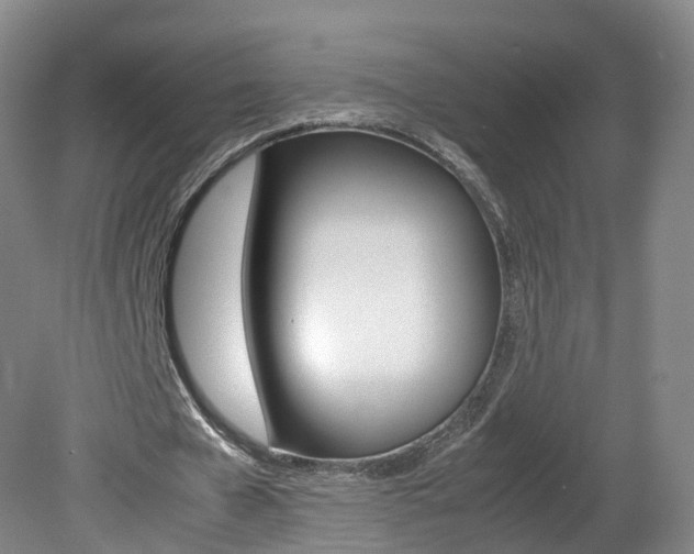 X0000082150577200701191026