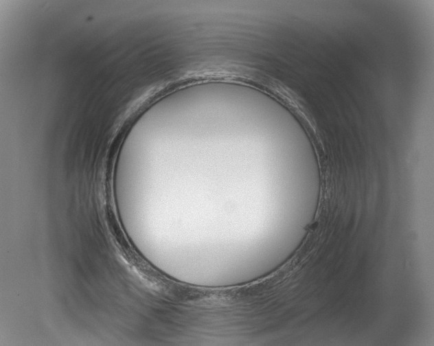 X0000082150578200701191026