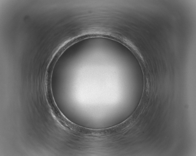 X0000082150580200701191026