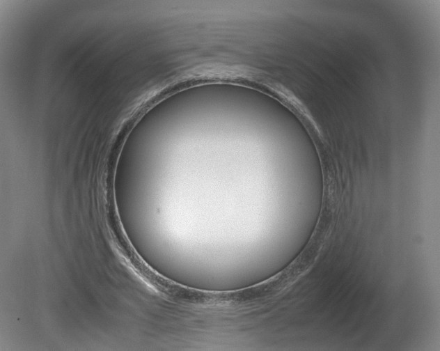 X0000082150581200701191026