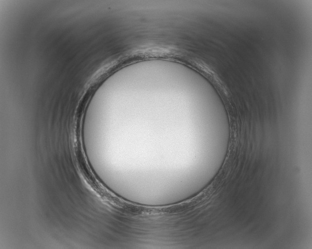 X0000082150582200701191026