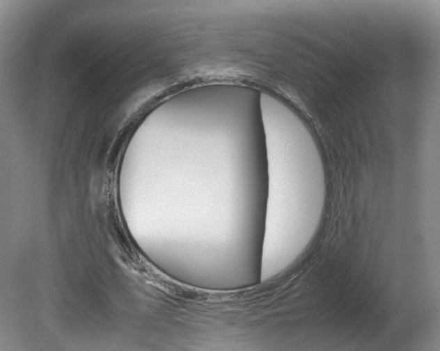 X0000082150583200701191026