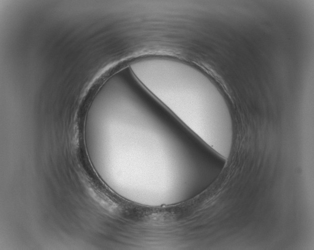 X0000082150584200701191026