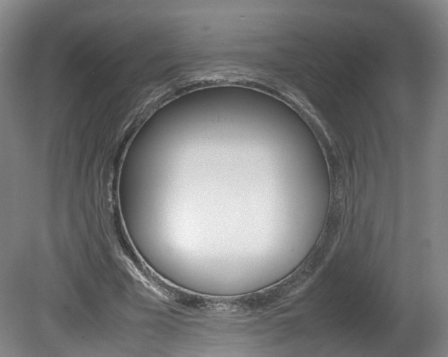 X0000082150585200701191026