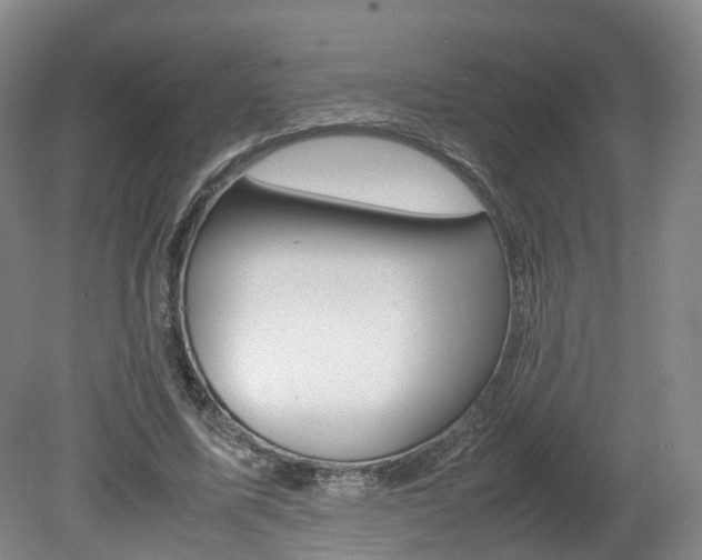 X0000082150587200701191026