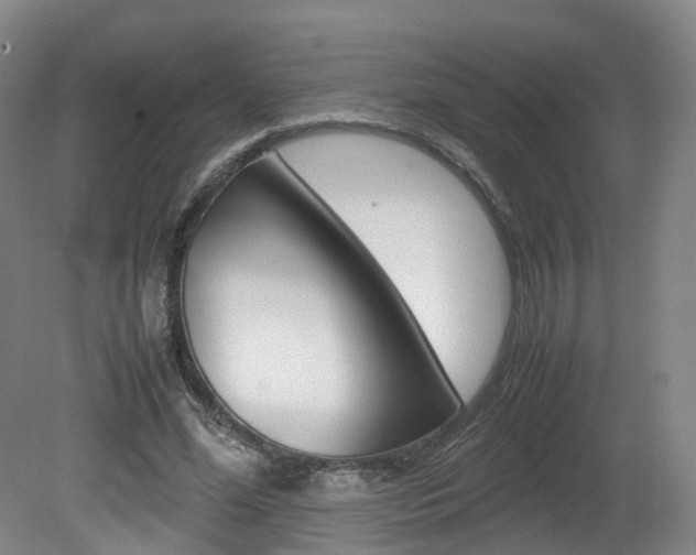 X0000082150588200701191026